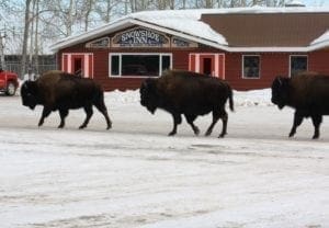 Recupero del calore residuo da un gruppo elettrogeno alimentato a motore